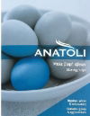 Anatoli Egg dye blue for 40eggs(including Gloves&Stickers)