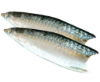 sardines